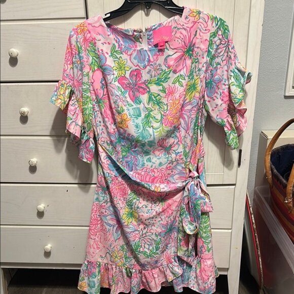 Lilly Pulitzer dress - Picture 1 of 13